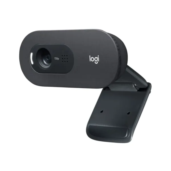 Web Cam Logitech C505 HD  960-001367 (3561)